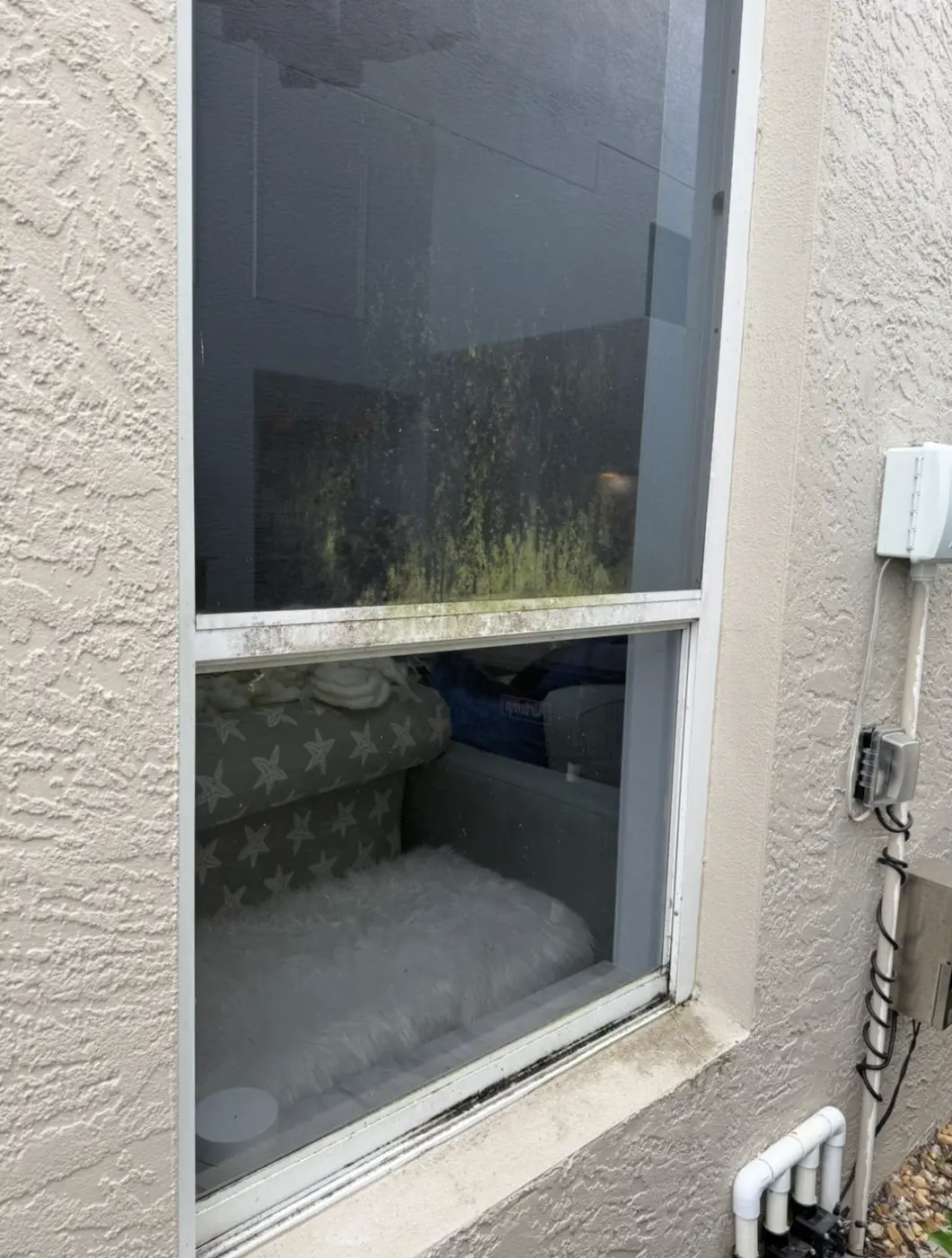 Window with organic buildup and film, before window cleaning